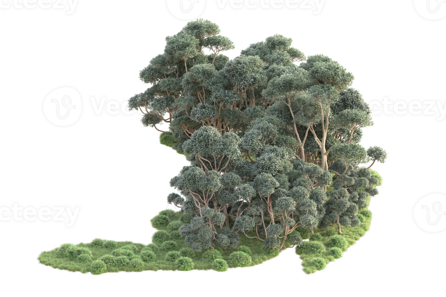 Tropical forest isolated on transparent background. 3d rendering - illustration png