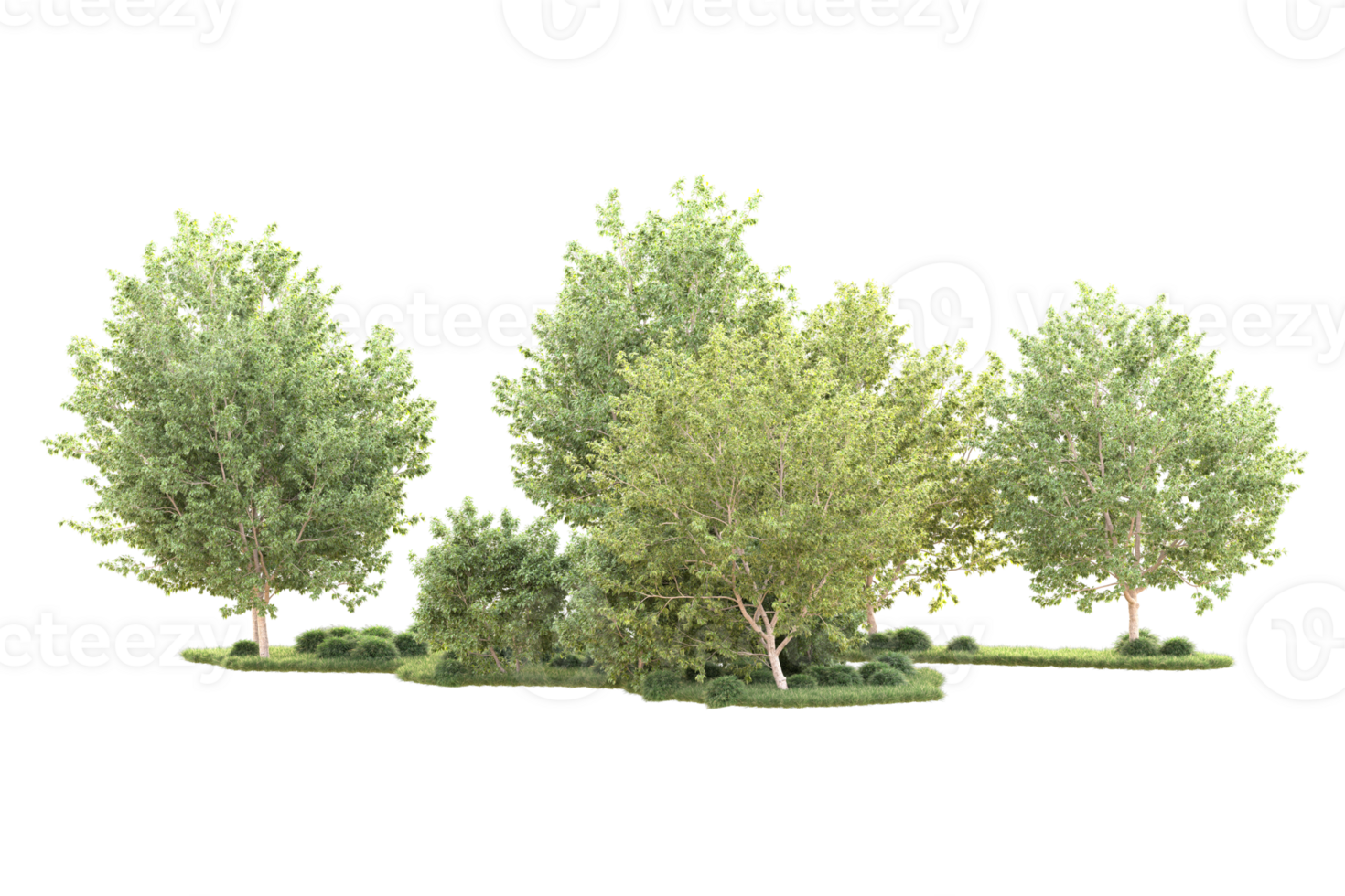 Tropical forest isolated on transparent background. 3d rendering - illustration png