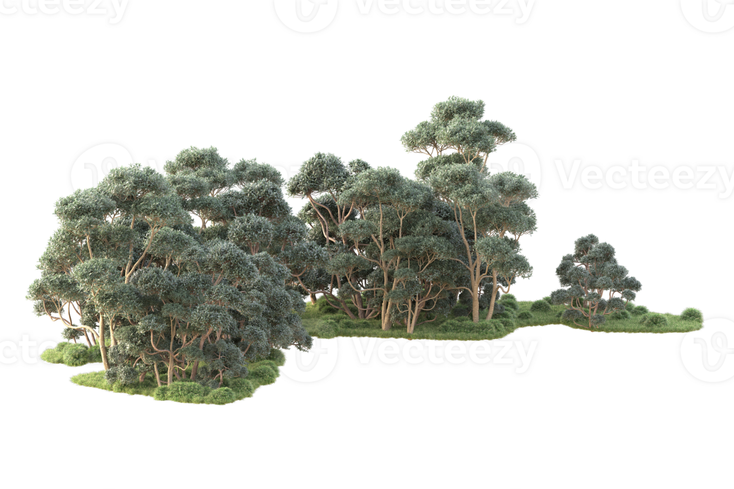 Tropical forest isolated on transparent background. 3d rendering - illustration png