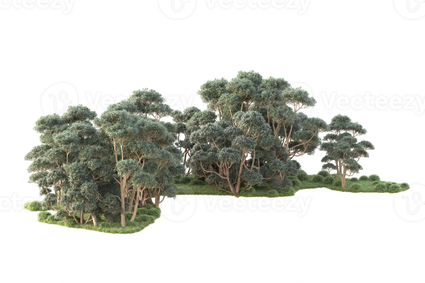 tropisk skog isolerat på transparent bakgrund. 3d tolkning - illustration png