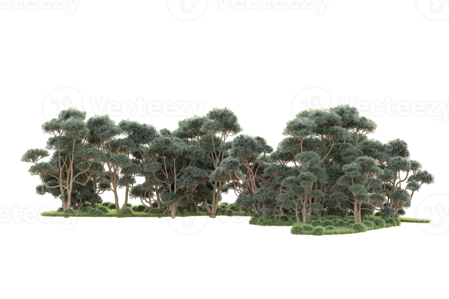 Tropical forest isolated on transparent background. 3d rendering - illustration png