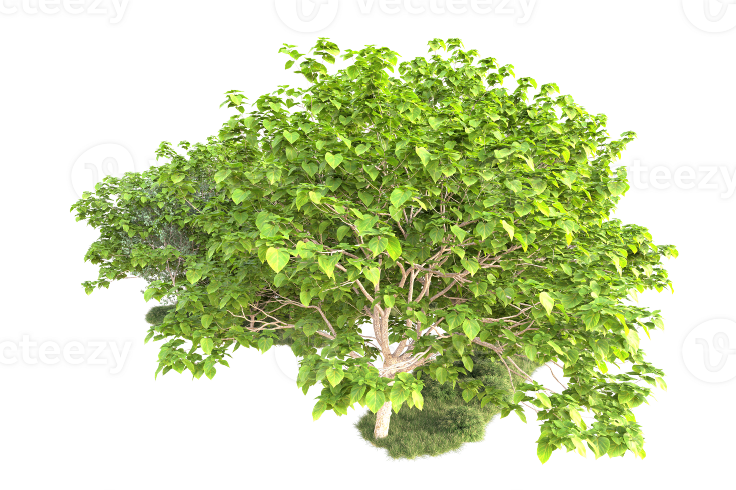 Tropical forest isolated on transparent background. 3d rendering - illustration png