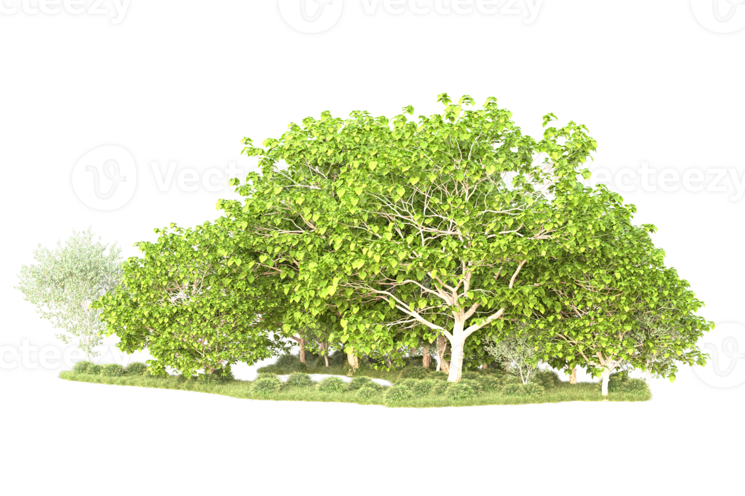 Tropical forest isolated on transparent background. 3d rendering - illustration png