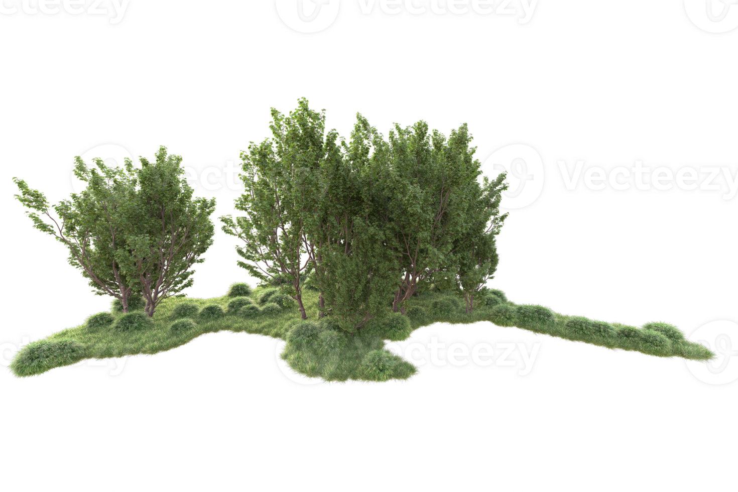 Tropical forest isolated on transparent background. 3d rendering - illustration png