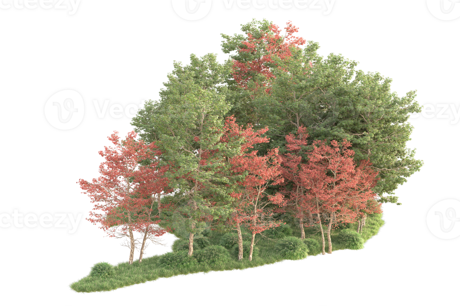 Tropical forest isolated on transparent background. 3d rendering - illustration png