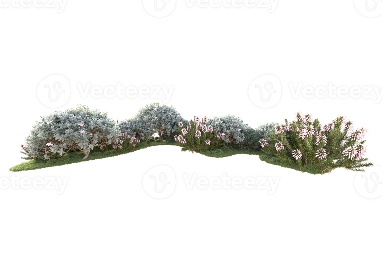 Tropical forest isolated on transparent background. 3d rendering - illustration png