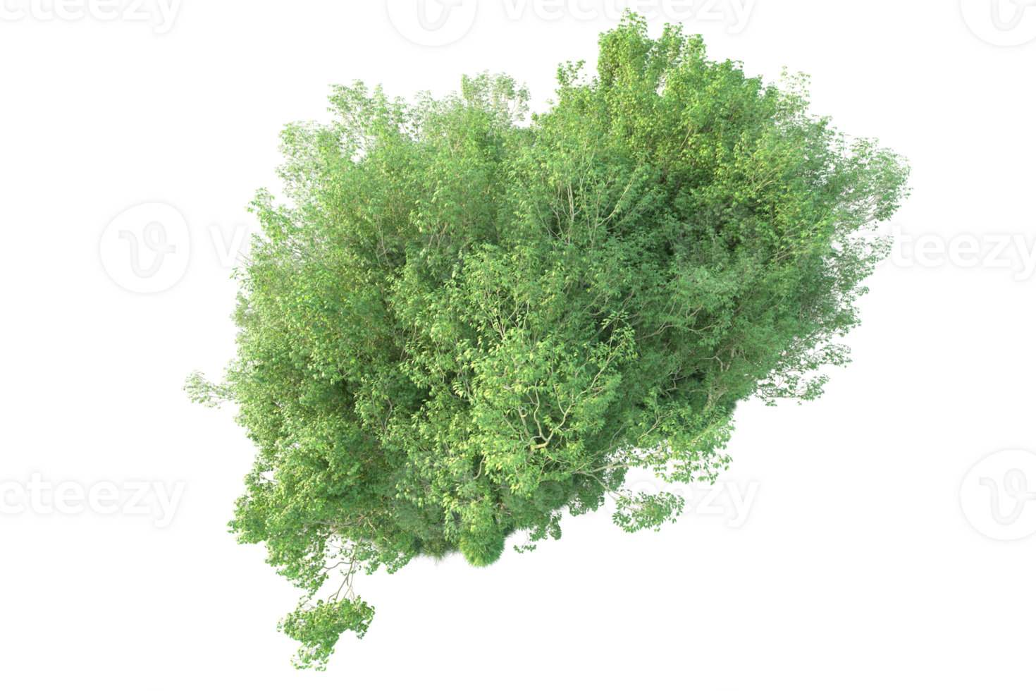Tropical forest isolated on transparent background. 3d rendering - illustration png