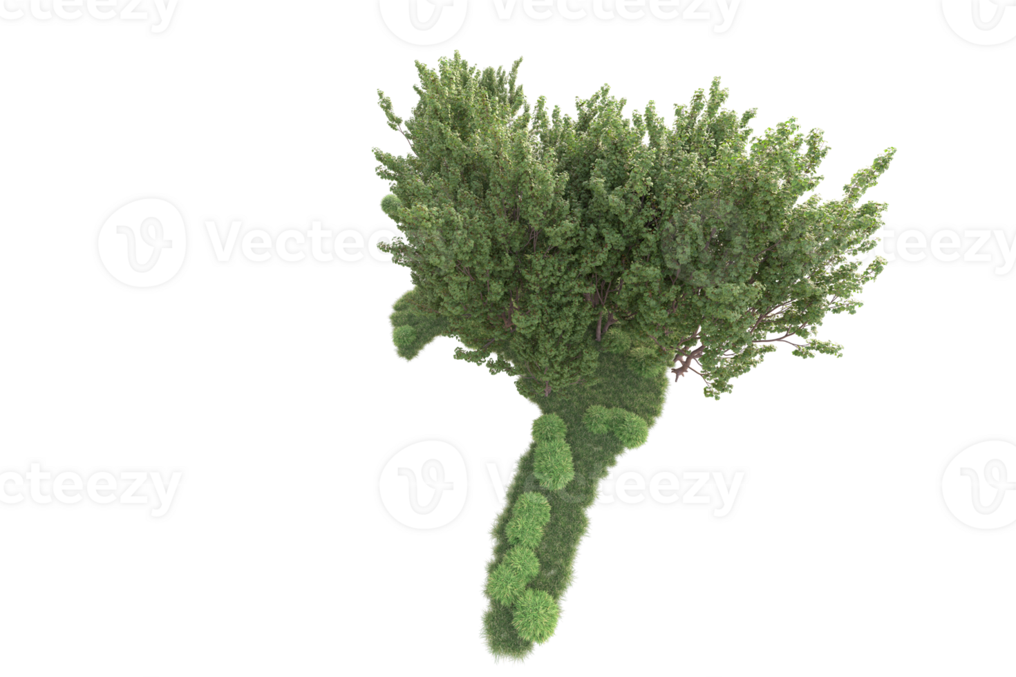 Tropical forest isolated on transparent background. 3d rendering - illustration png