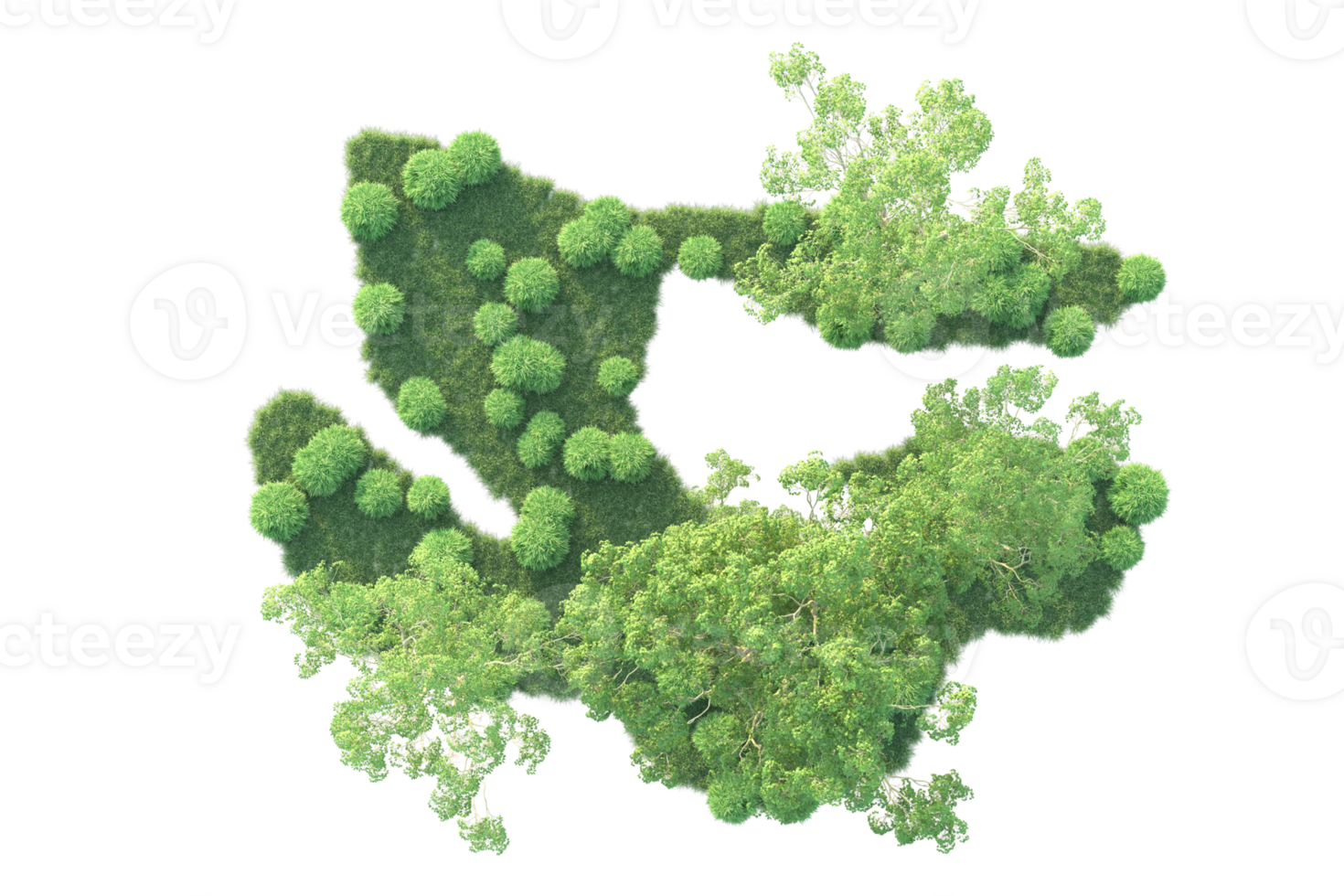 Tropical forest isolated on transparent background. 3d rendering - illustration png