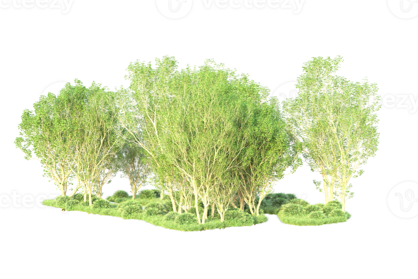 Tropical forest isolated on transparent background. 3d rendering - illustration png