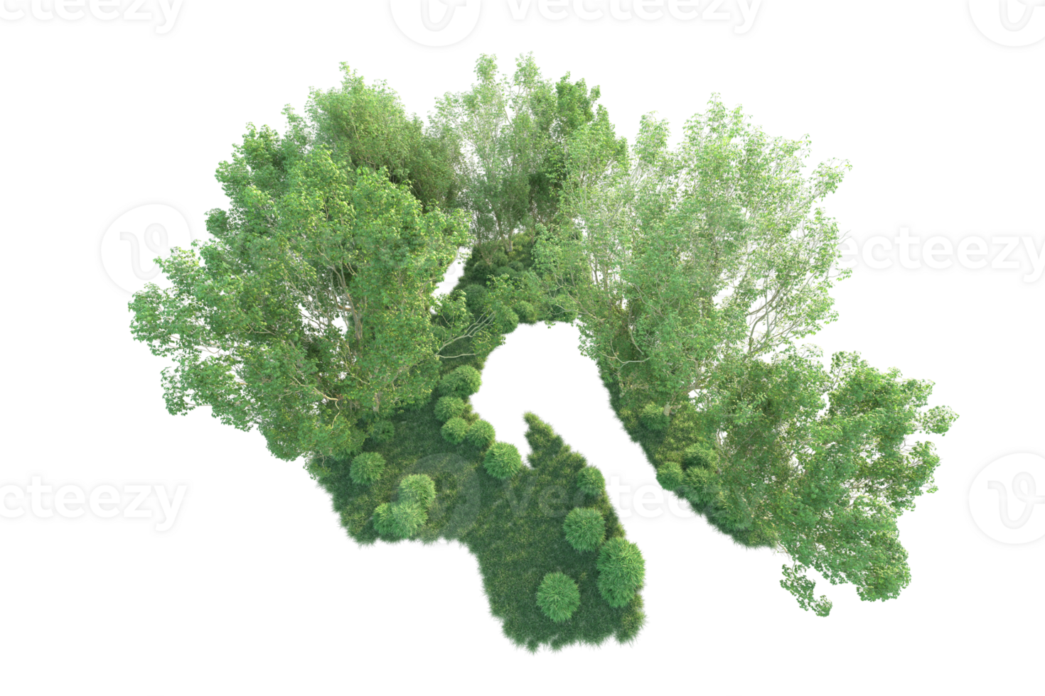 Tropical forest isolated on transparent background. 3d rendering - illustration png