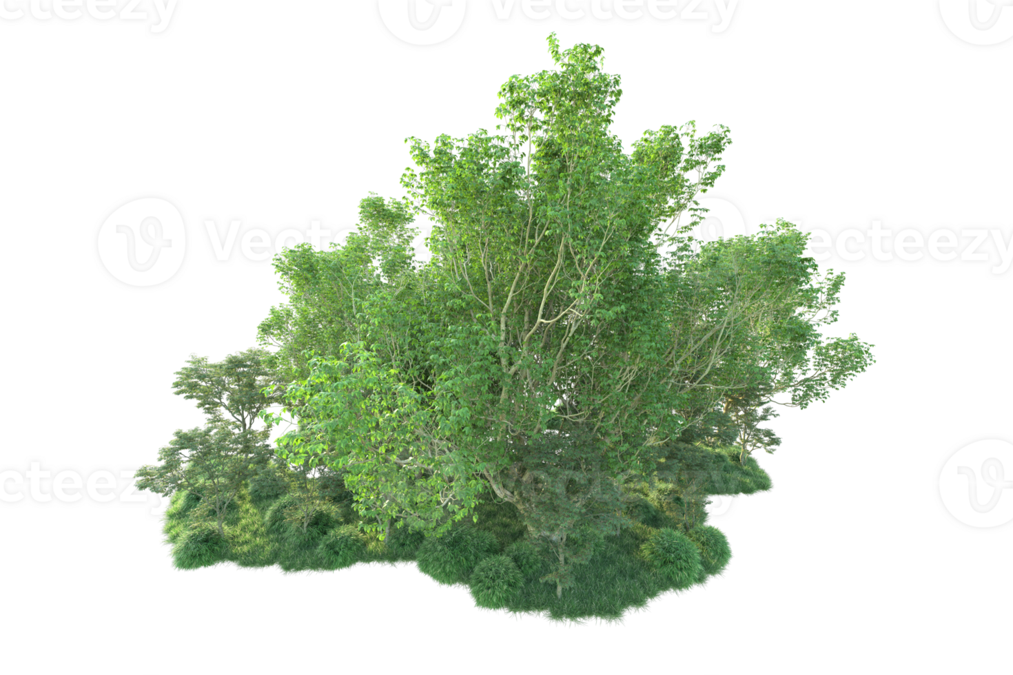Tropical forest isolated on transparent background. 3d rendering - illustration png