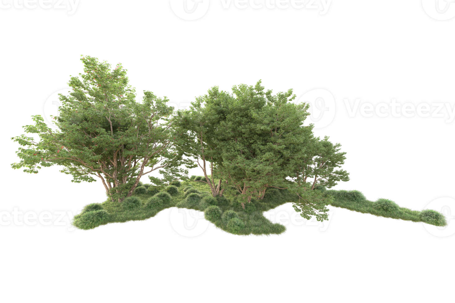 Tropical forest isolated on transparent background. 3d rendering - illustration png
