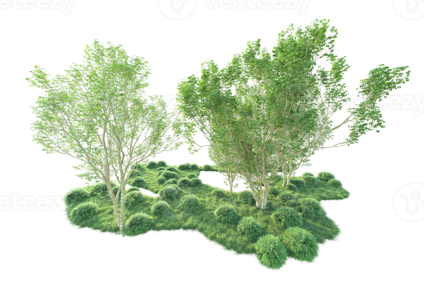 Tropical forest isolated on transparent background. 3d rendering - illustration png