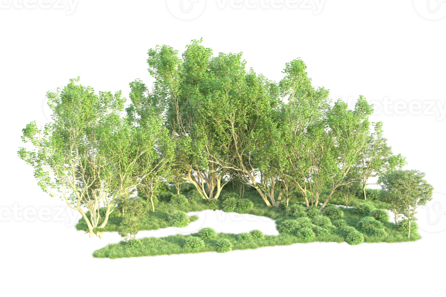 Tropical forest isolated on transparent background. 3d rendering - illustration png