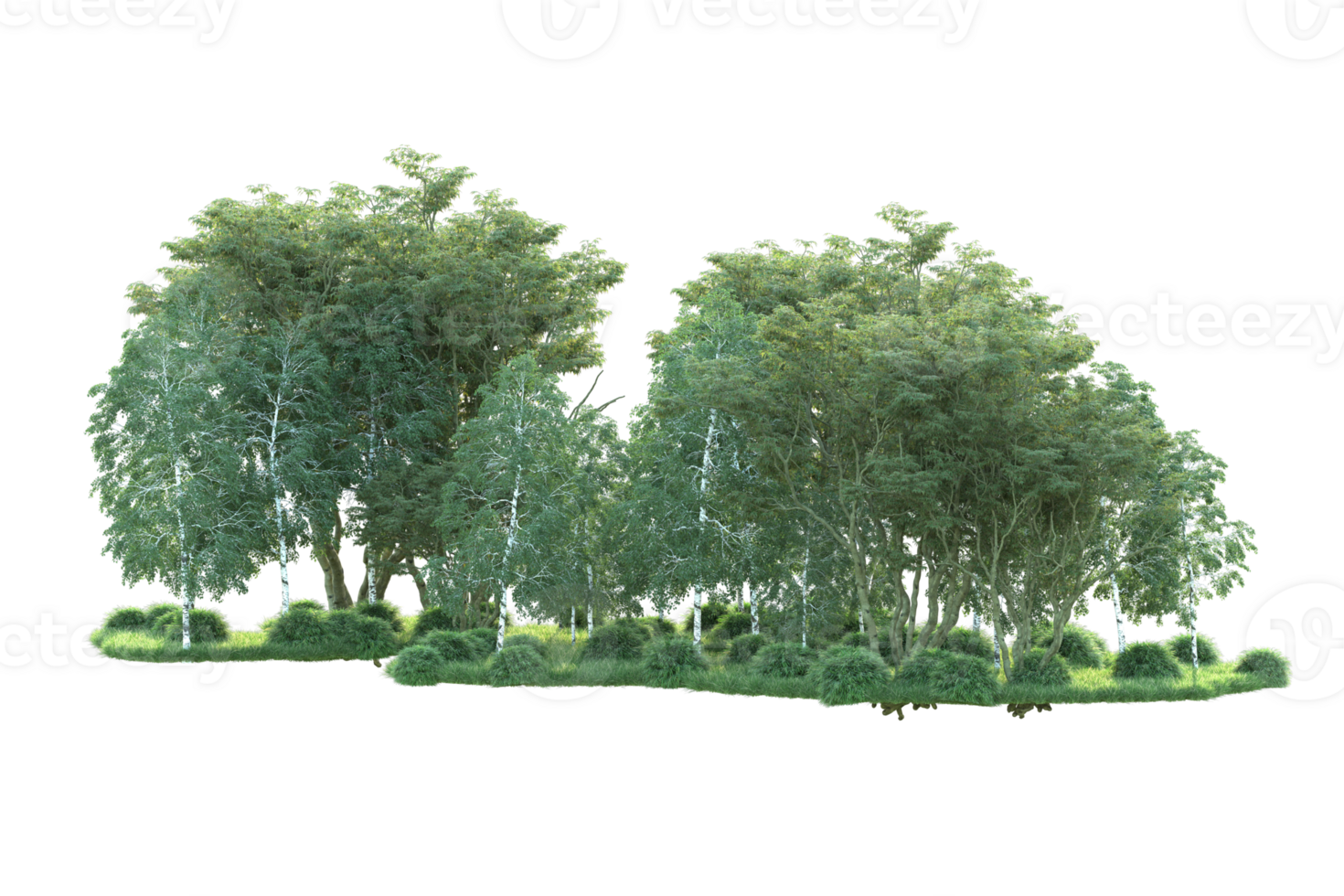 Tropical forest isolated on transparent background. 3d rendering - illustration png
