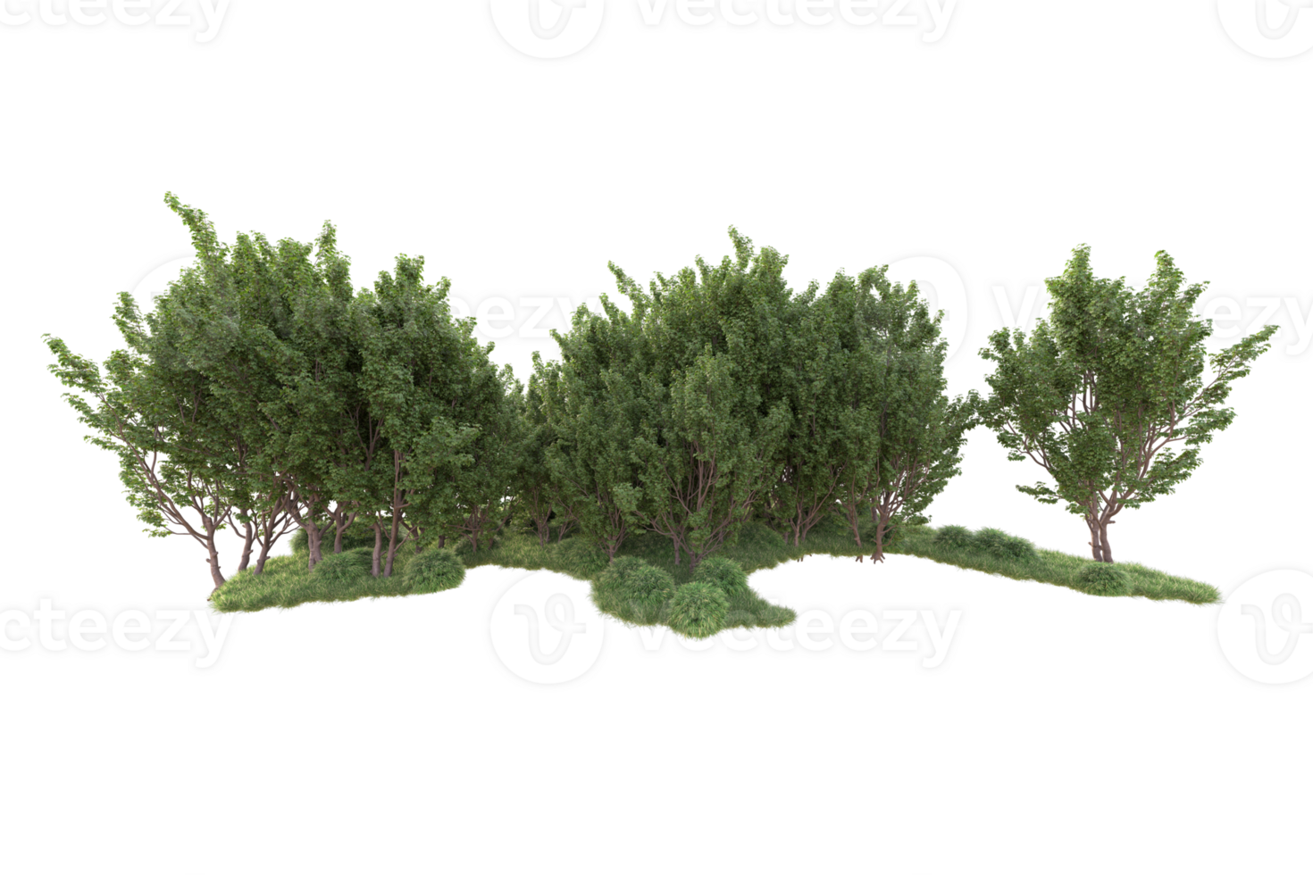 Tropical forest isolated on transparent background. 3d rendering - illustration png