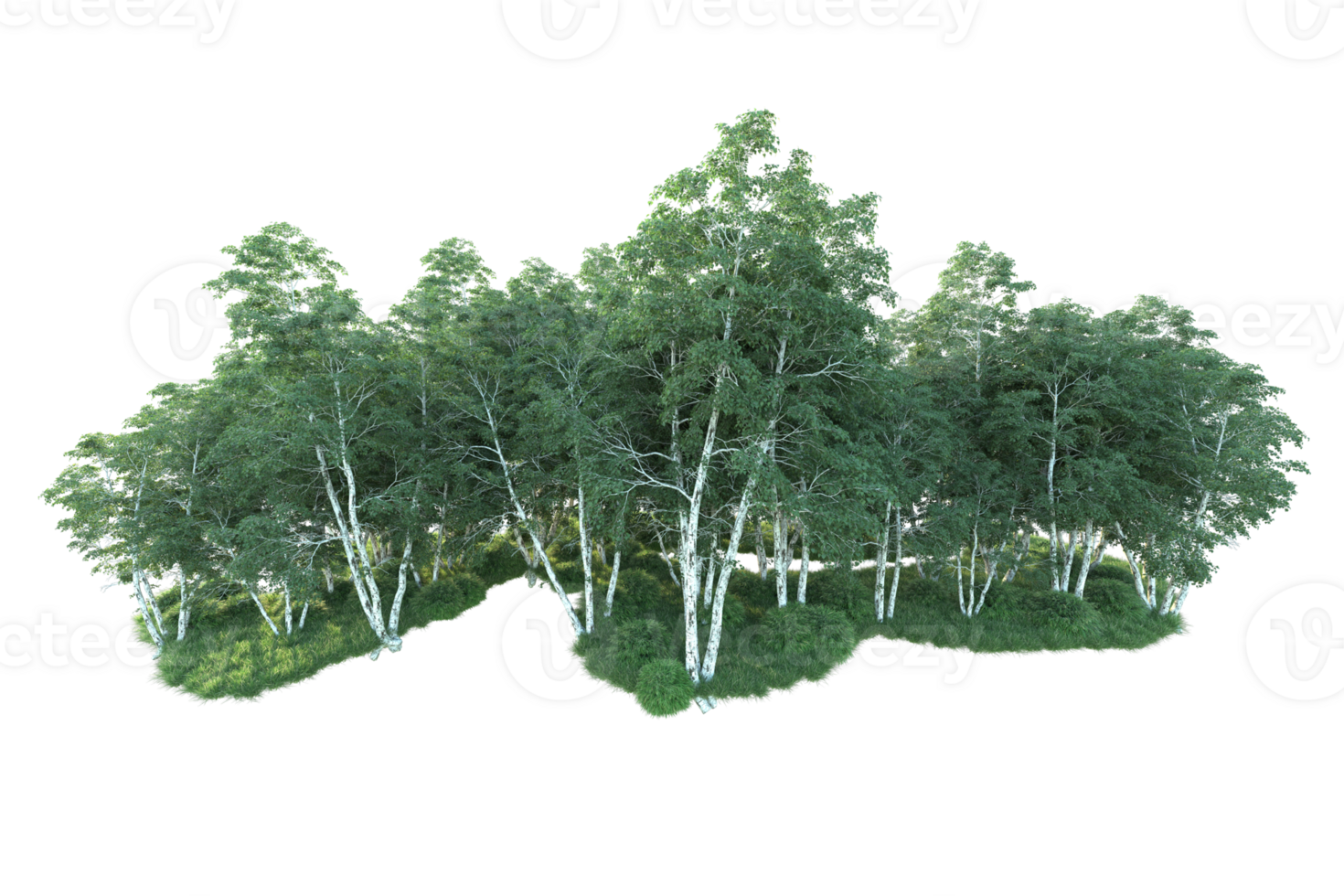 Tropical forest isolated on transparent background. 3d rendering - illustration png