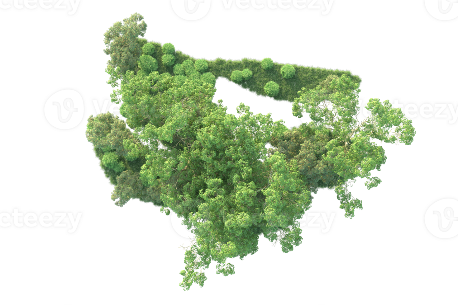 Tropical forest isolated on transparent background. 3d rendering - illustration png