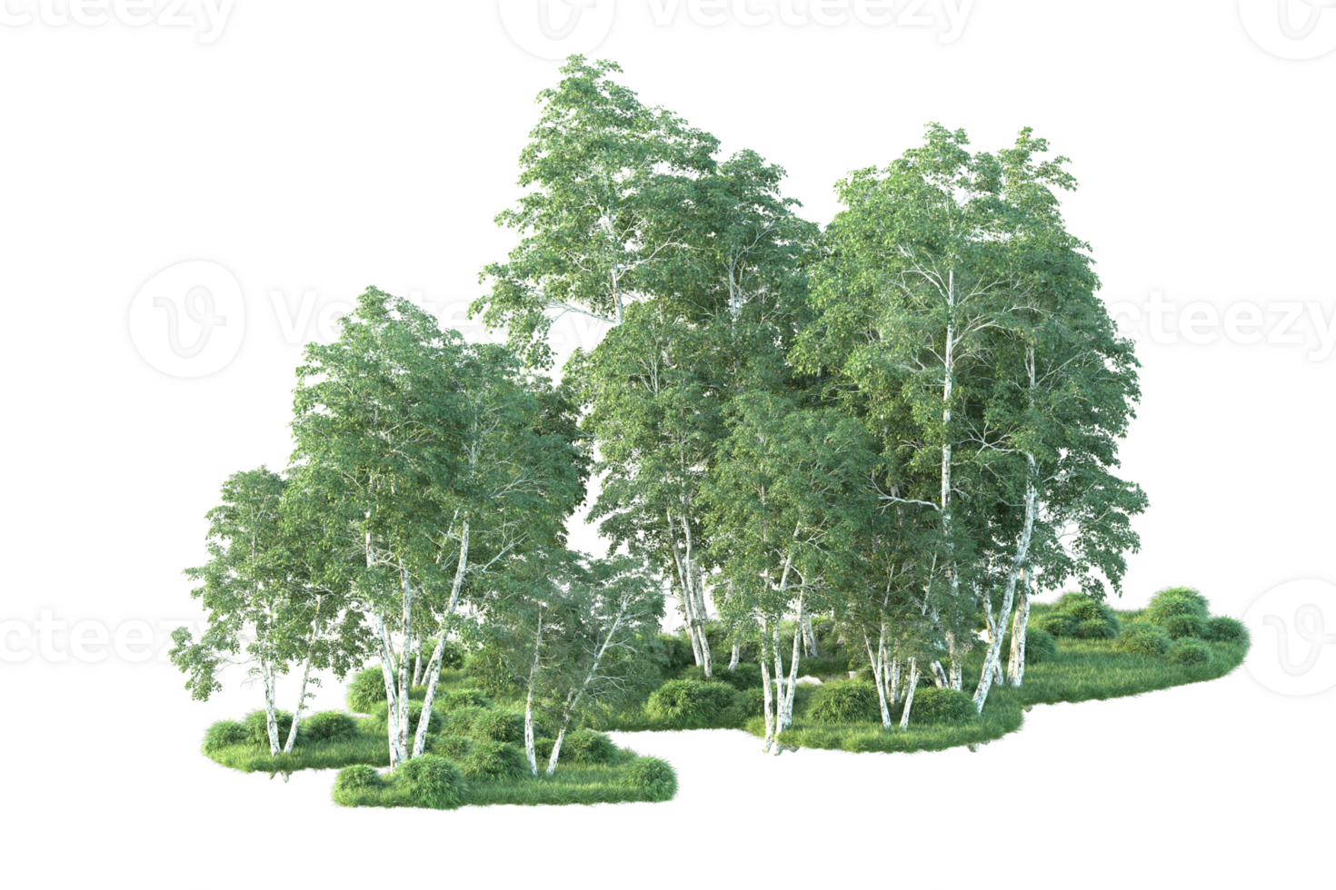 Tropical forest isolated on transparent background. 3d rendering - illustration png