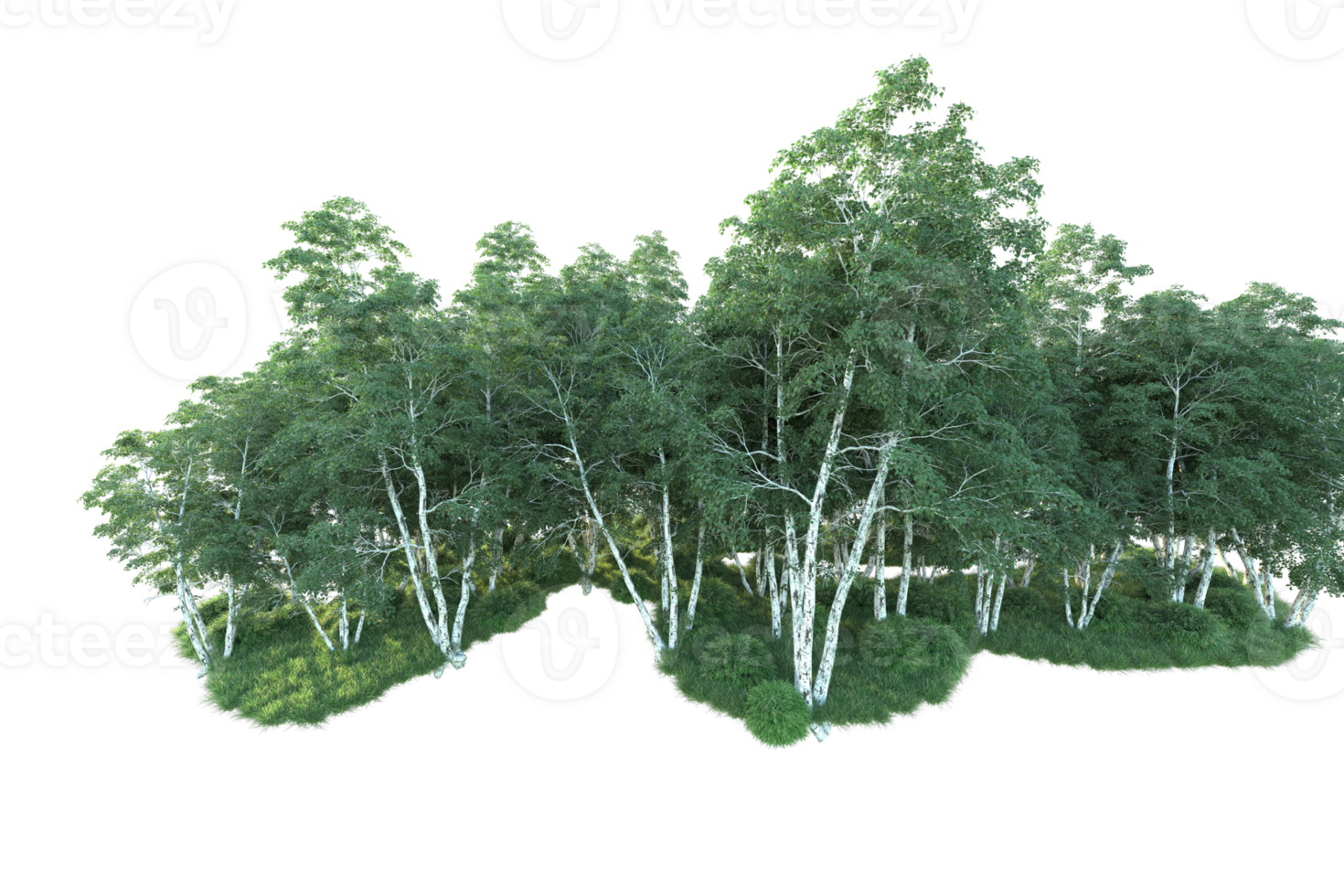 Tropical forest isolated on transparent background. 3d rendering - illustration png