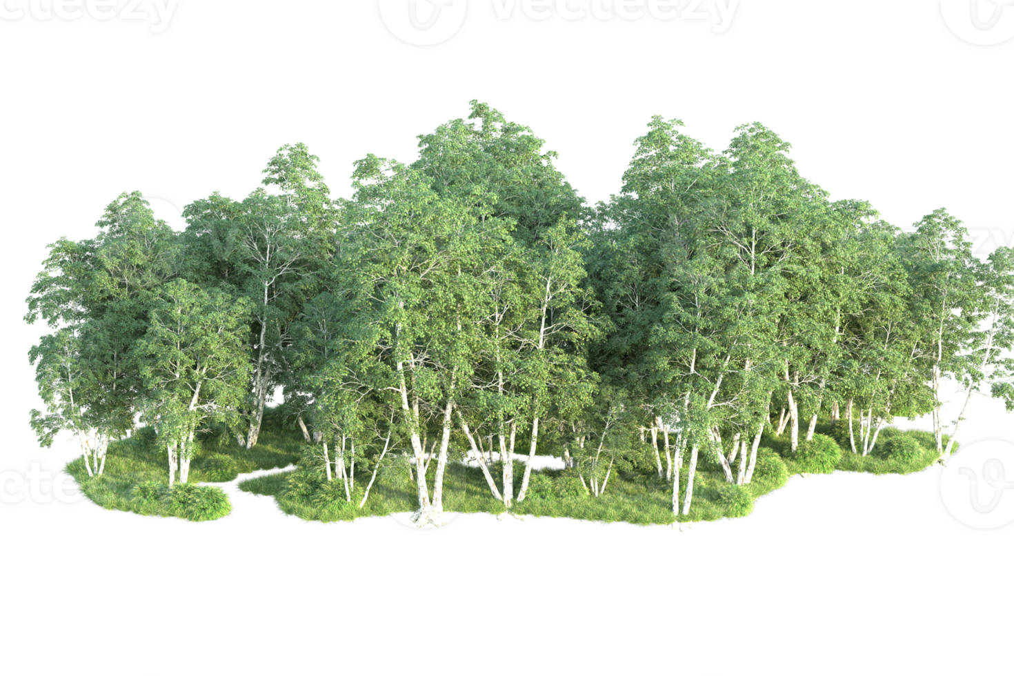 Tropical forest isolated on transparent background. 3d rendering - illustration png