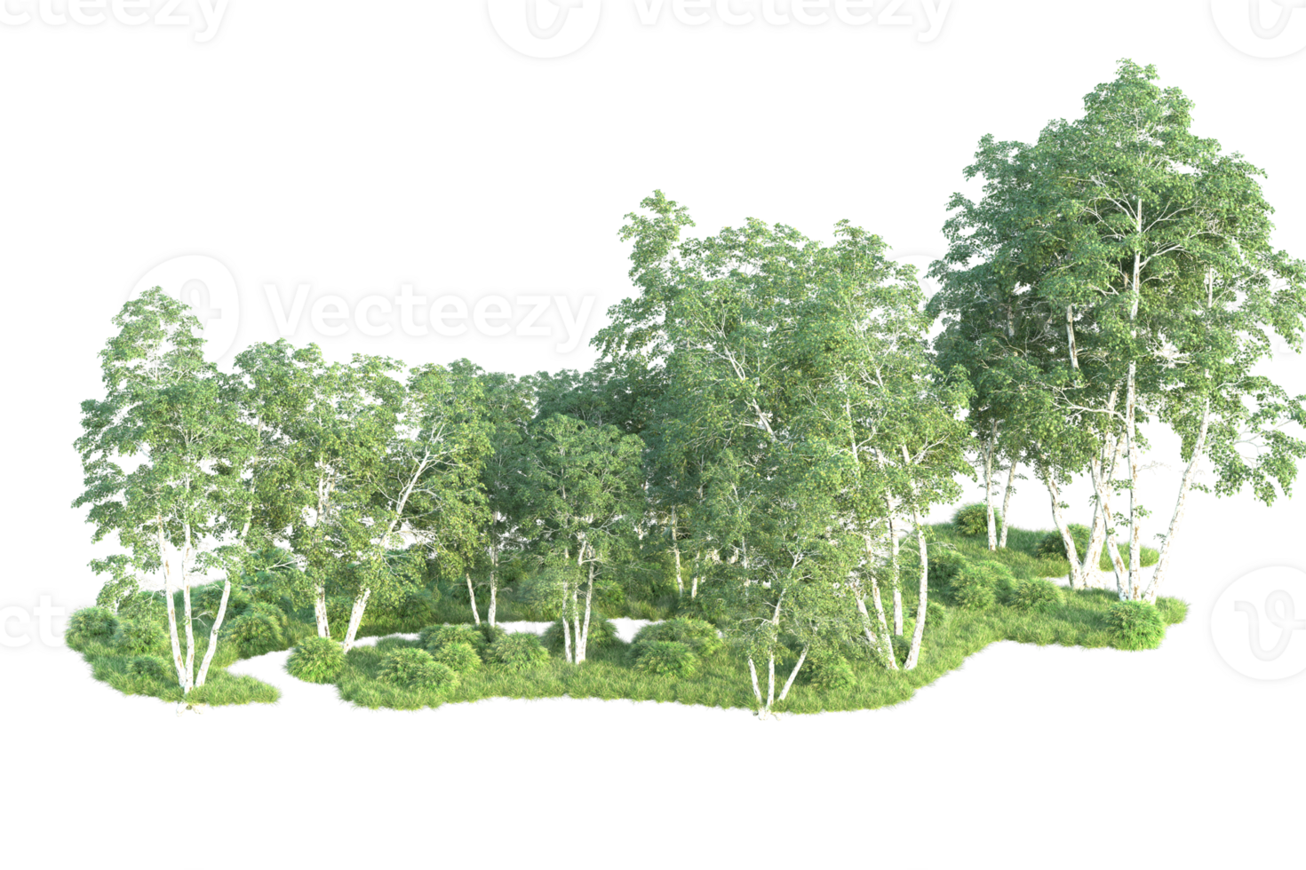 Tropical forest isolated on transparent background. 3d rendering - illustration png