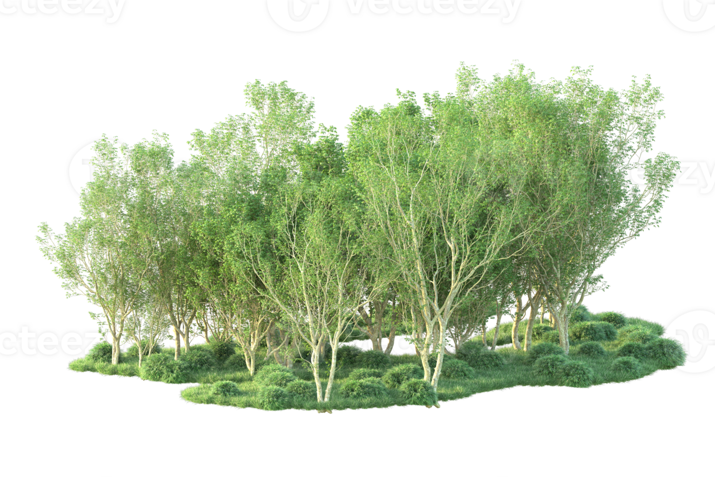 Tropical forest isolated on transparent background. 3d rendering - illustration png