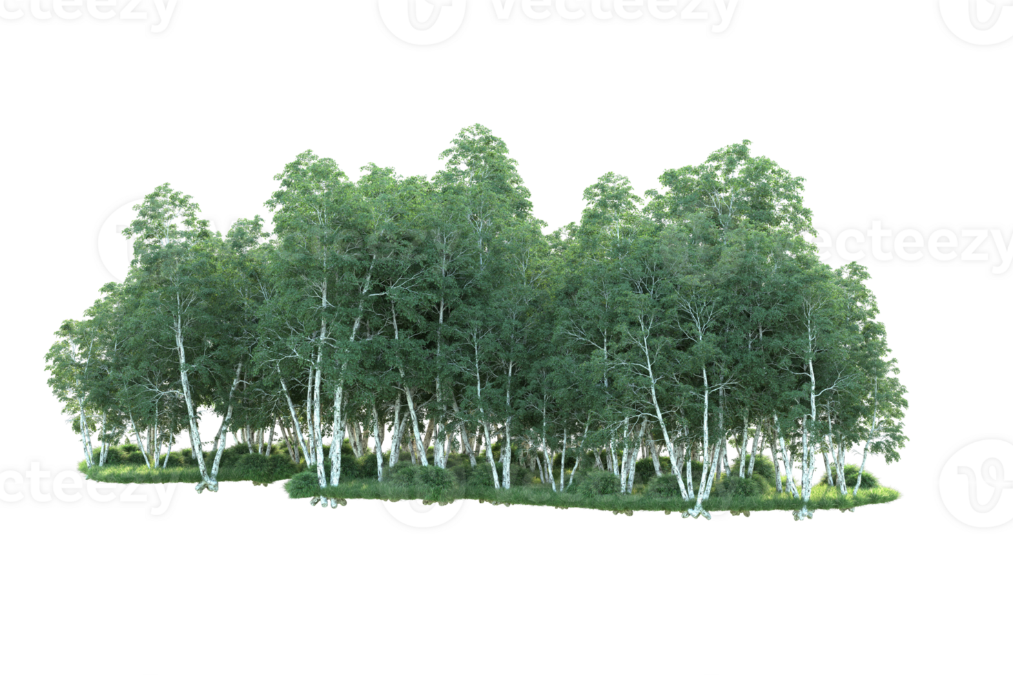 Tropical forest isolated on transparent background. 3d rendering - illustration png
