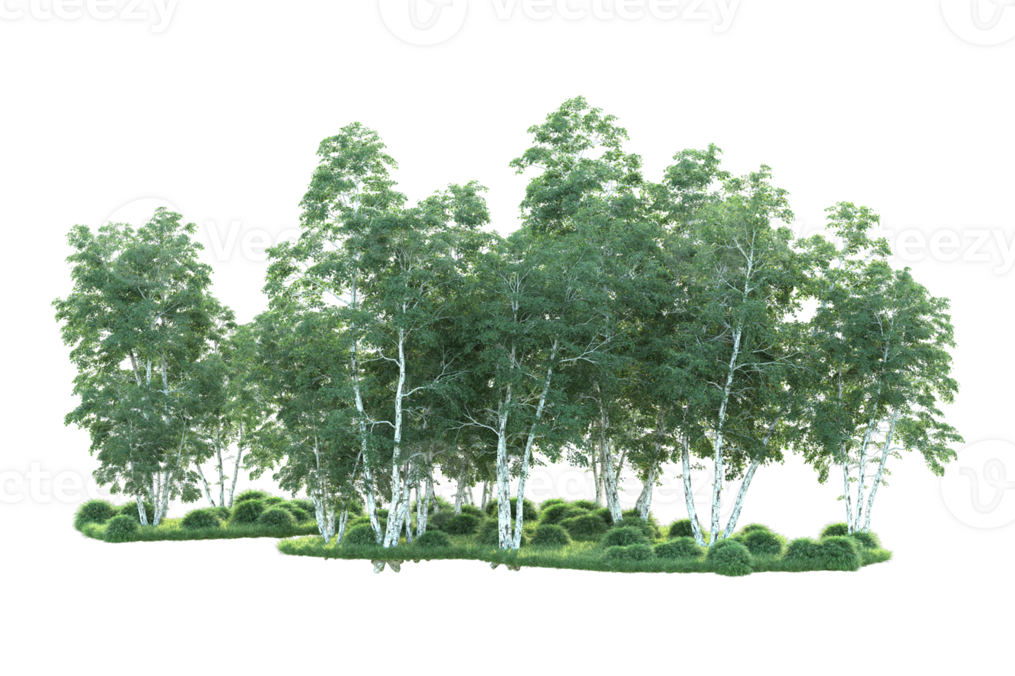 Tropical forest isolated on transparent background. 3d rendering - illustration png