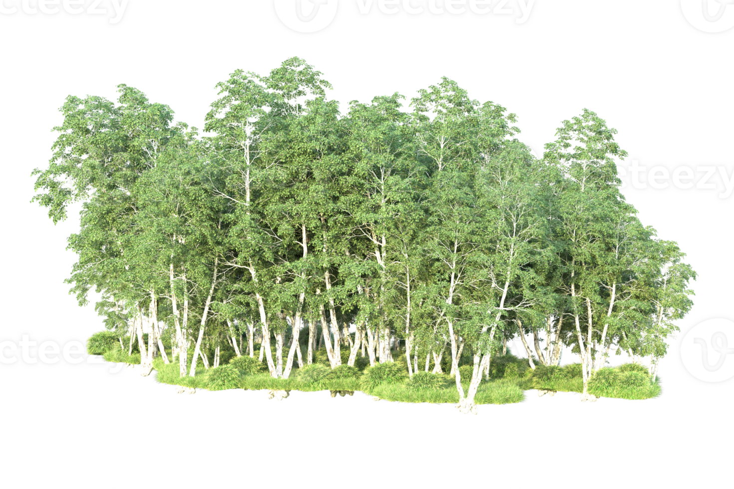 Tropical forest isolated on transparent background. 3d rendering - illustration png