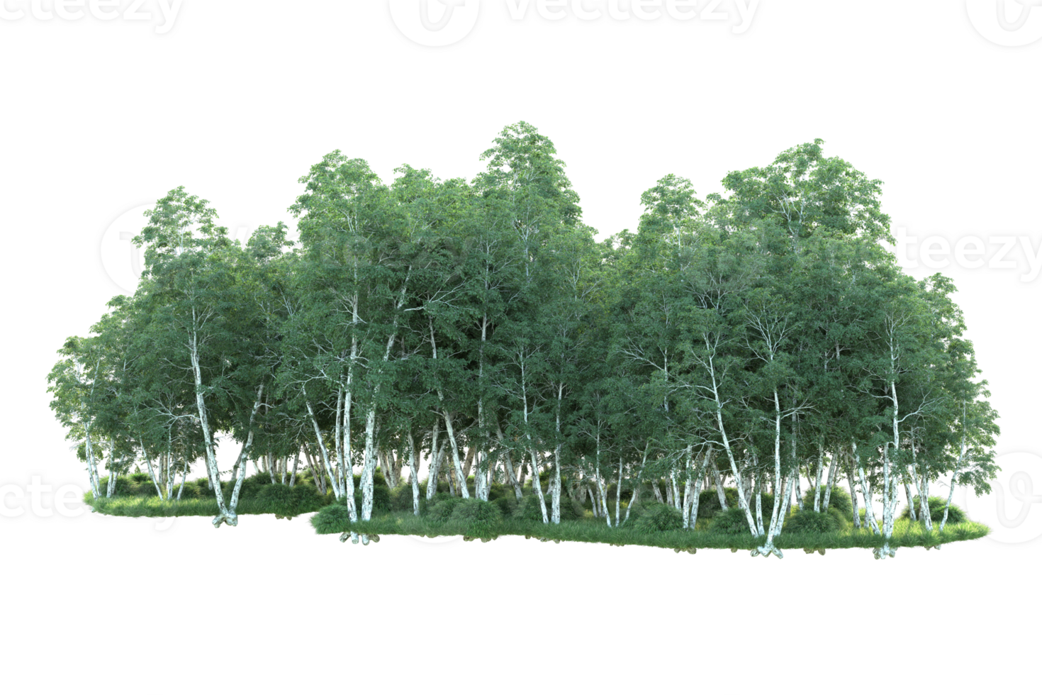 Tropical forest isolated on transparent background. 3d rendering - illustration png