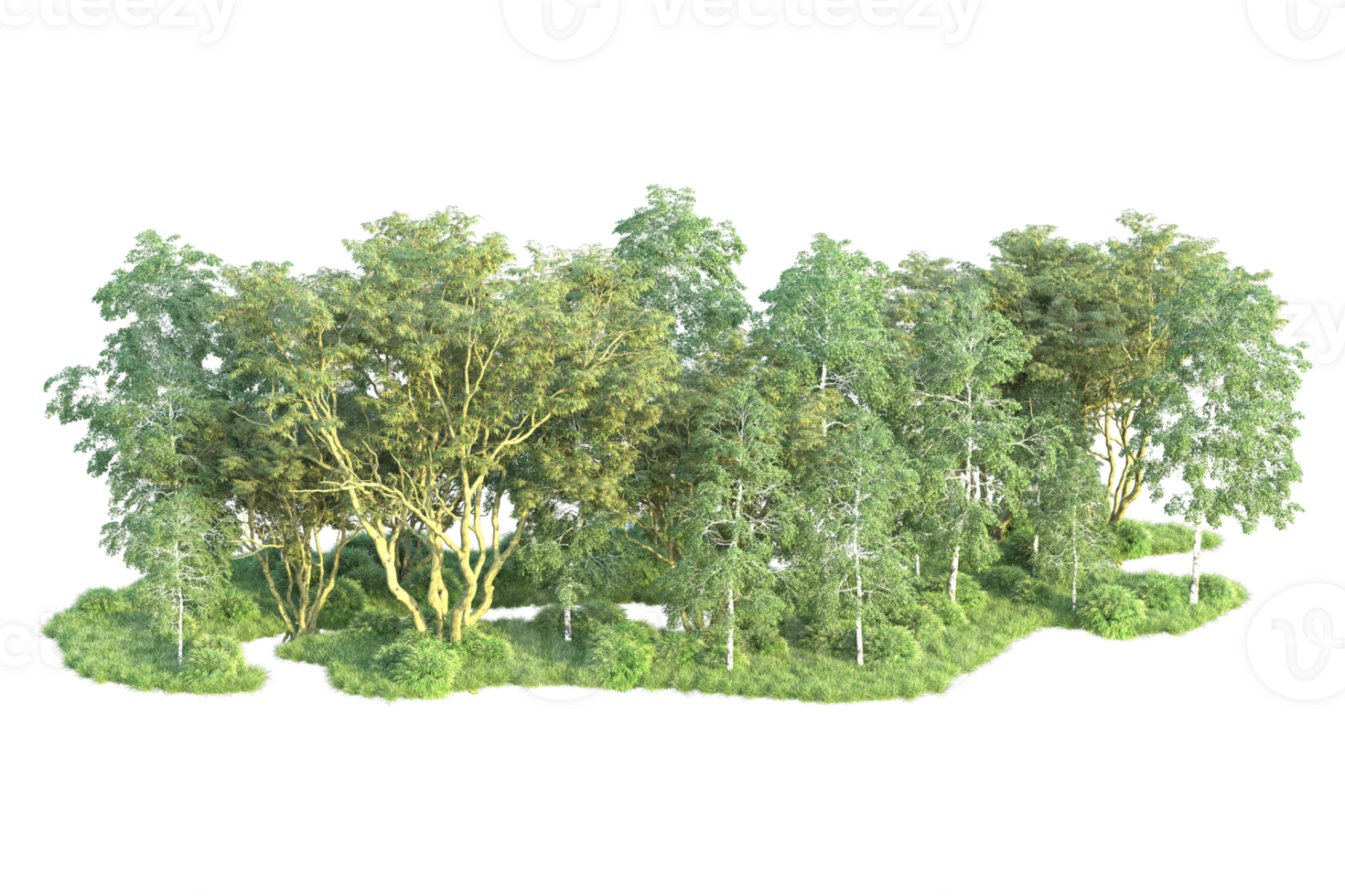 Tropical forest isolated on transparent background. 3d rendering - illustration png