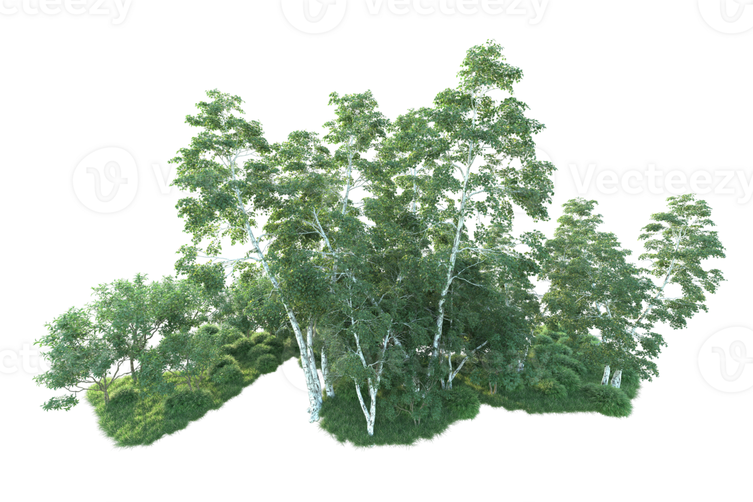 Tropical forest isolated on transparent background. 3d rendering - illustration png