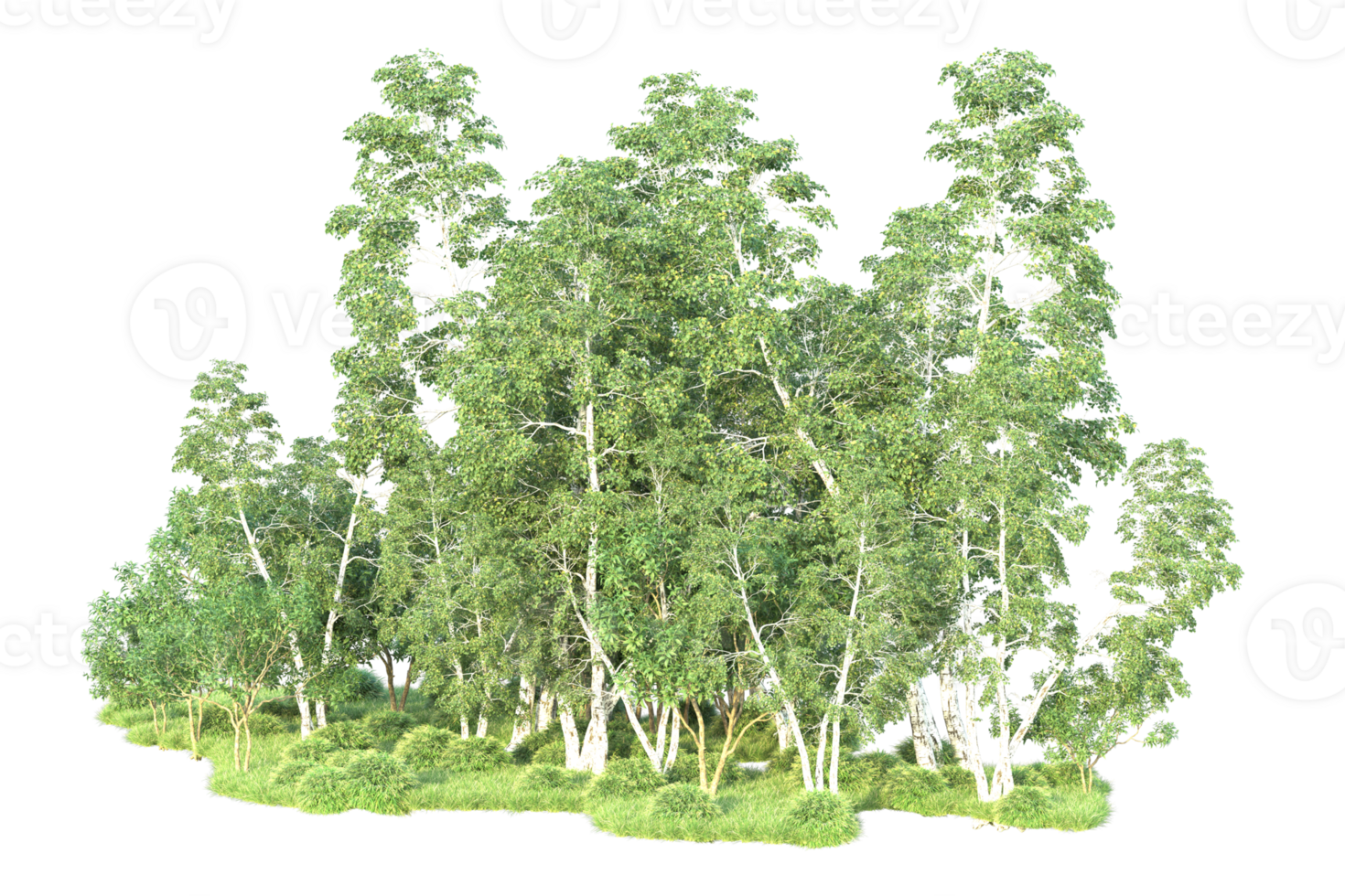 Tropical forest isolated on transparent background. 3d rendering - illustration png