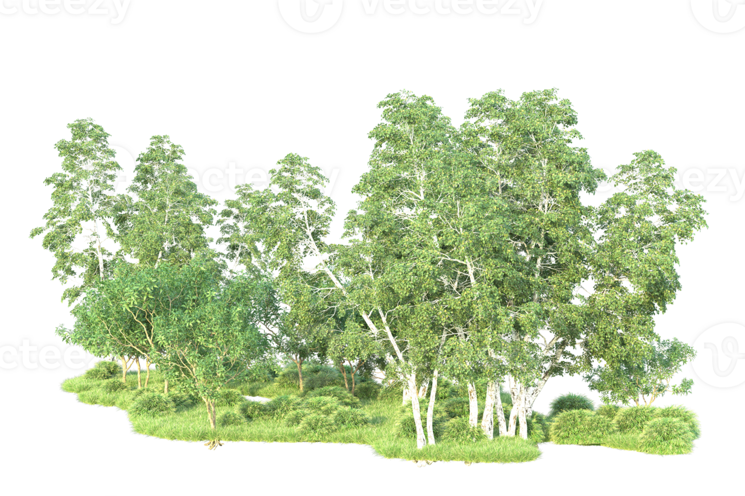 Tropical forest isolated on transparent background. 3d rendering - illustration png