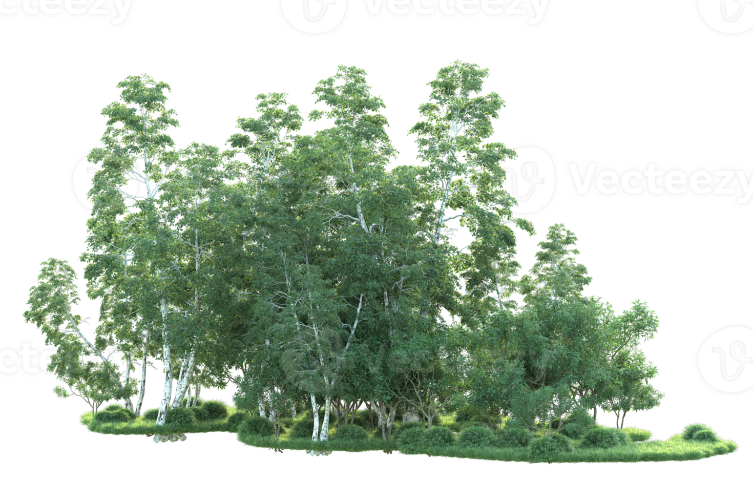 Tropical forest isolated on transparent background. 3d rendering - illustration png