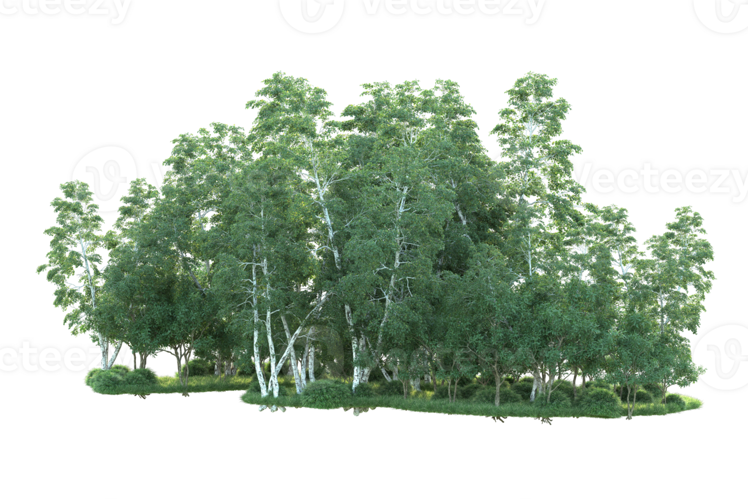 Tropical forest isolated on transparent background. 3d rendering - illustration png