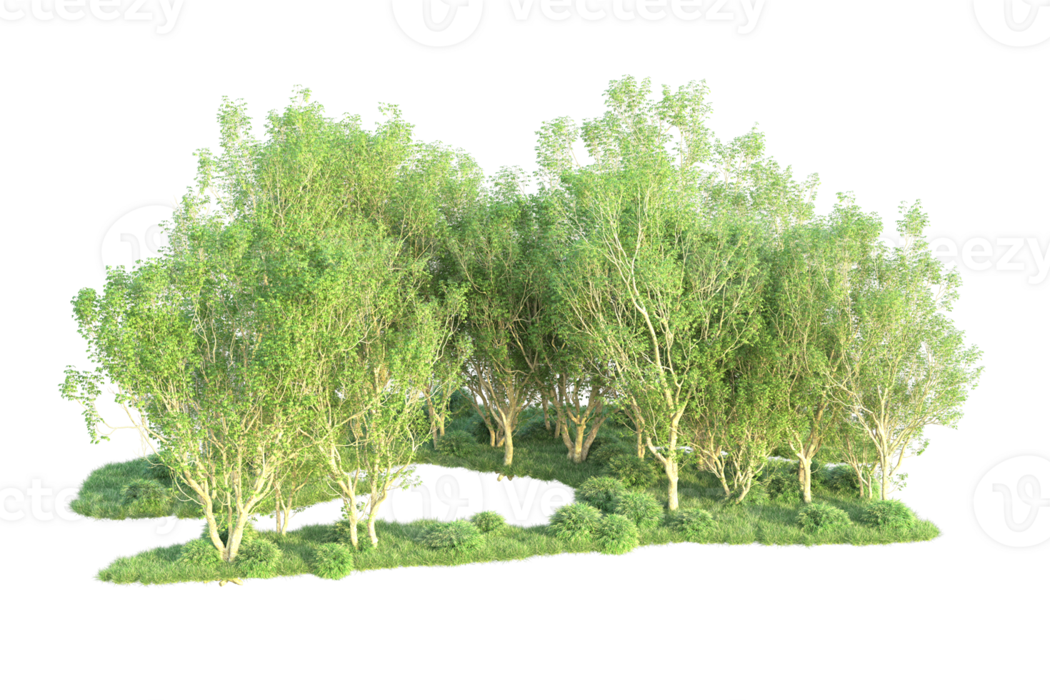 Tropical forest isolated on transparent background. 3d rendering - illustration png