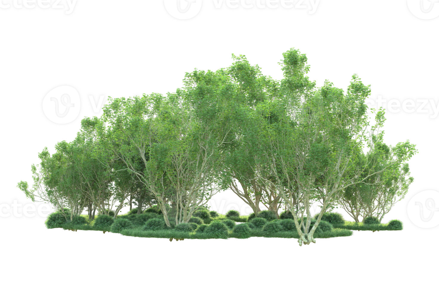 Tropical forest isolated on transparent background. 3d rendering - illustration png