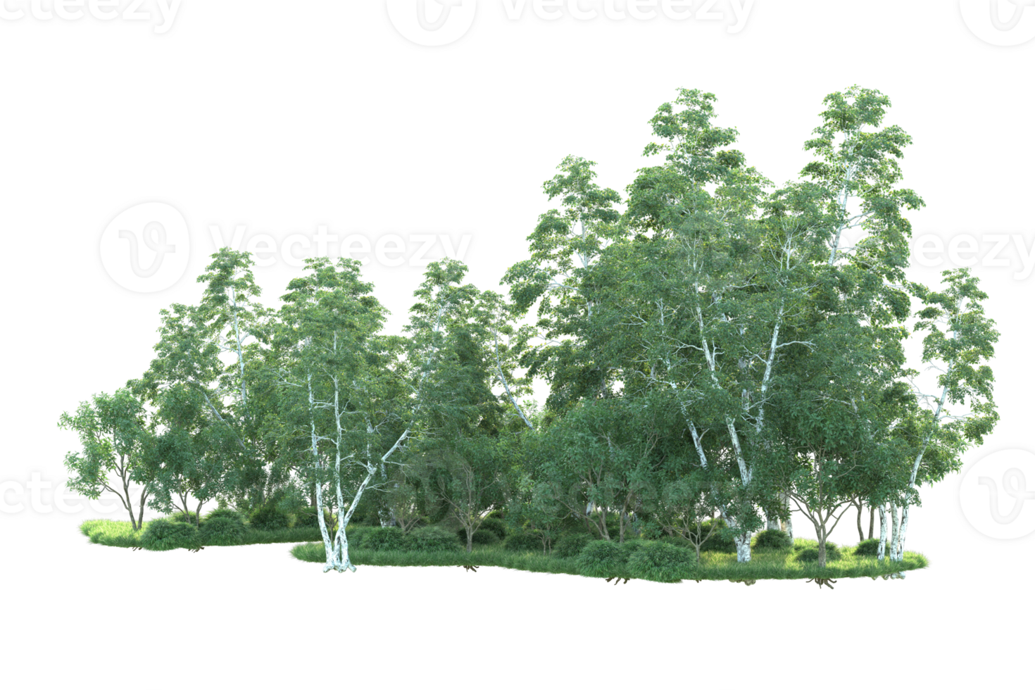 Tropical forest isolated on transparent background. 3d rendering - illustration png