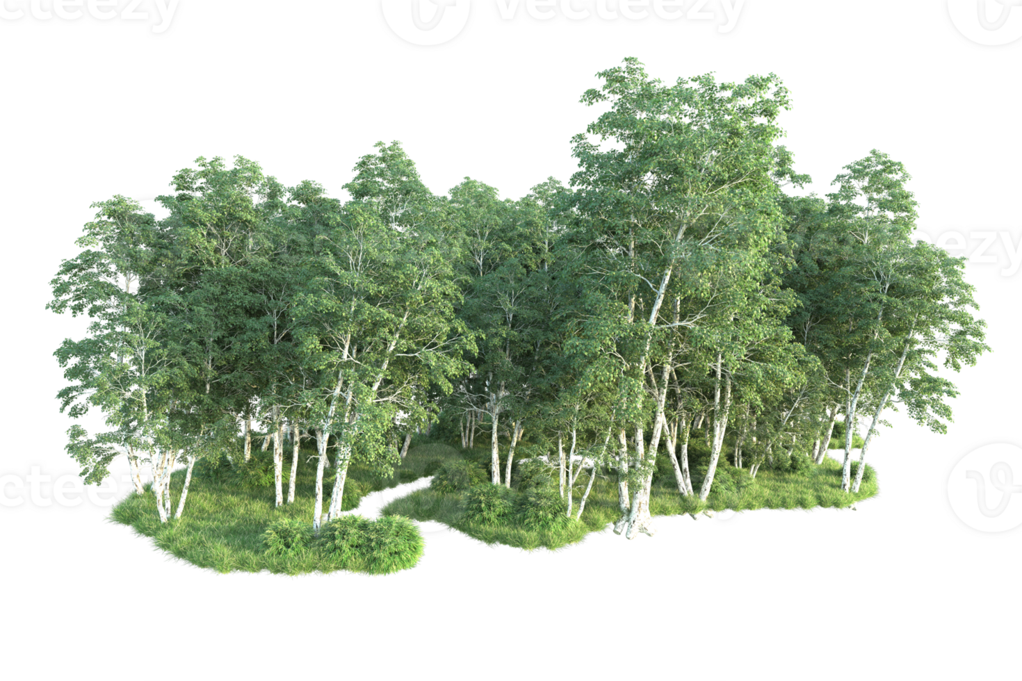 Tropical forest isolated on transparent background. 3d rendering - illustration png