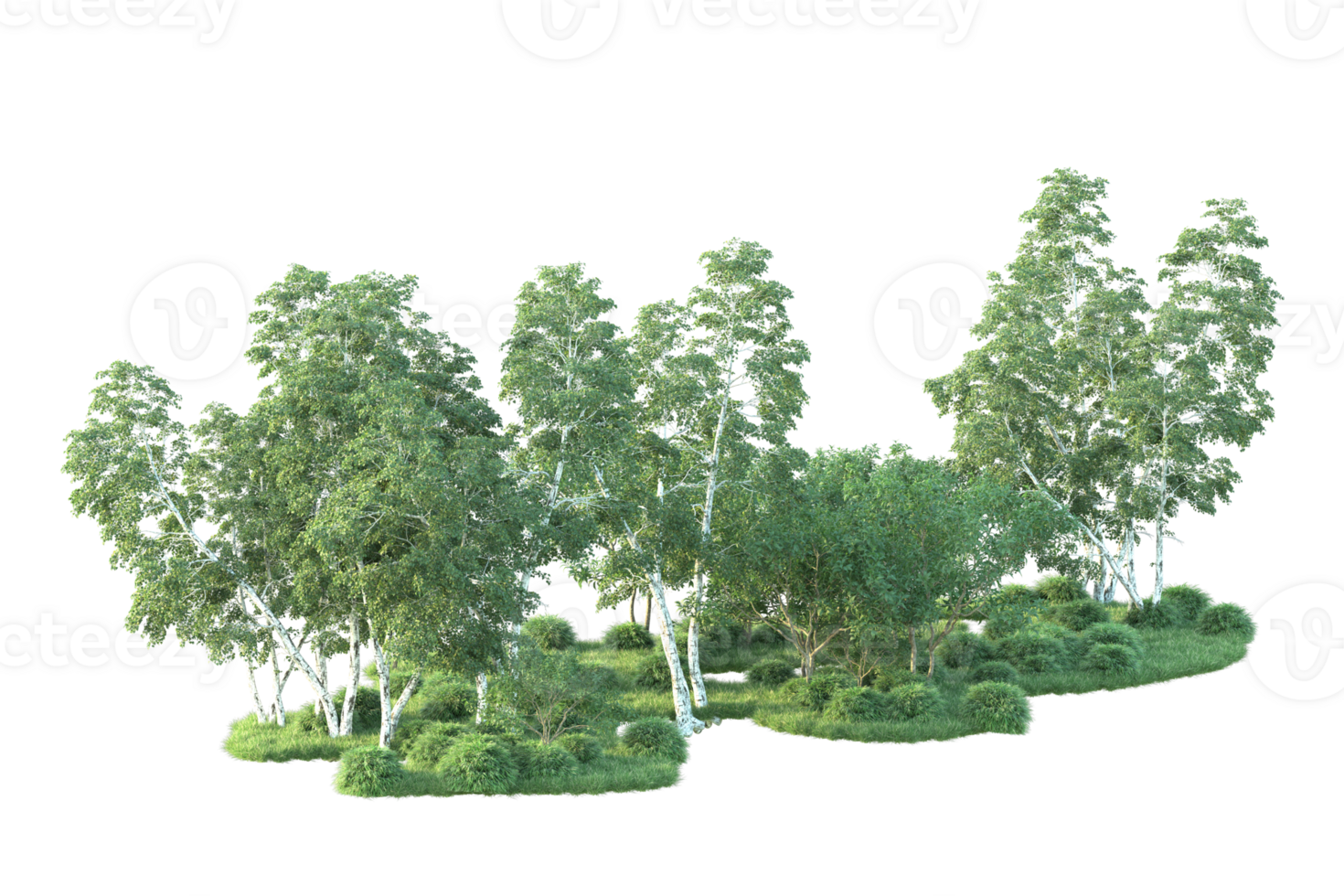 Tropical forest isolated on transparent background. 3d rendering - illustration png