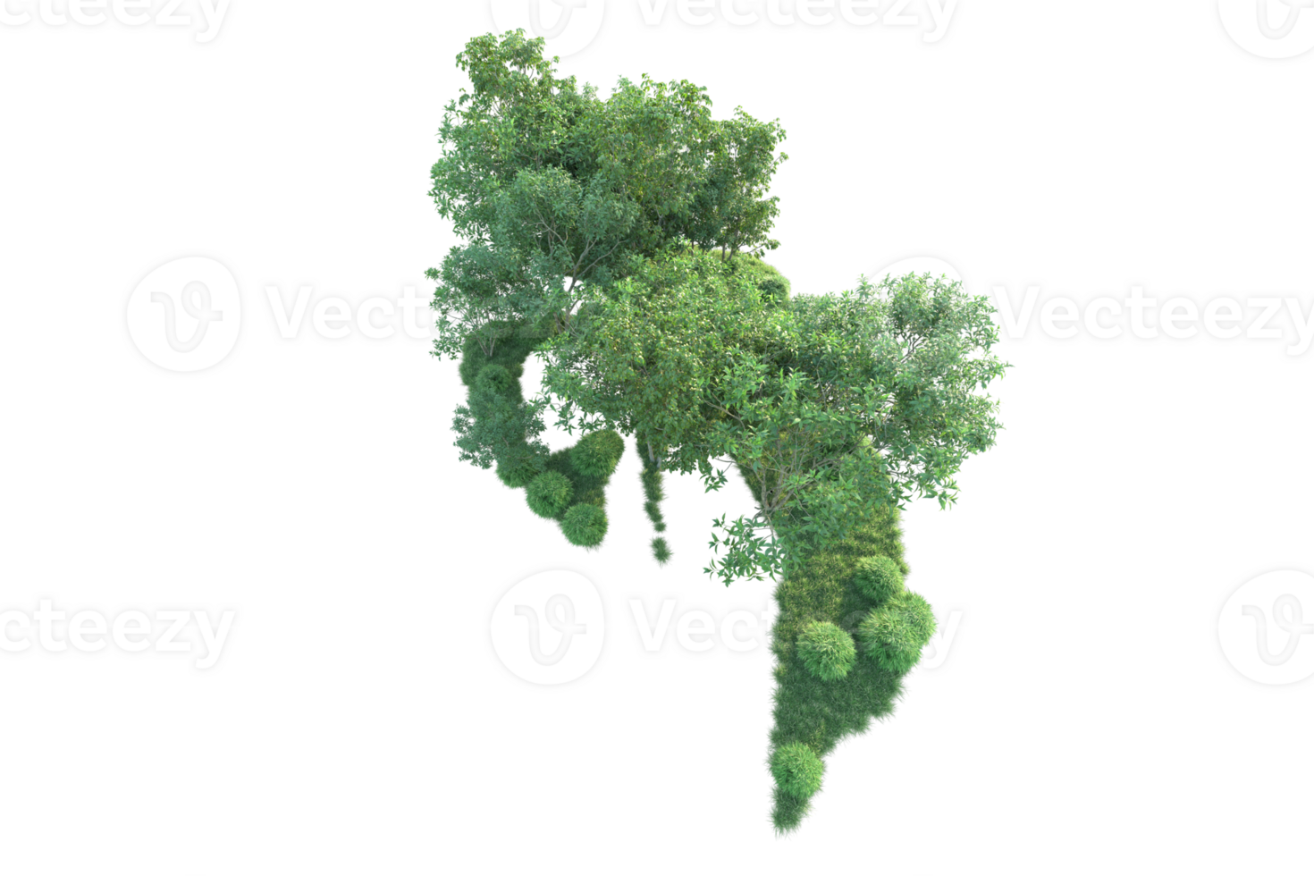 Tropical forest isolated on transparent background. 3d rendering - illustration png