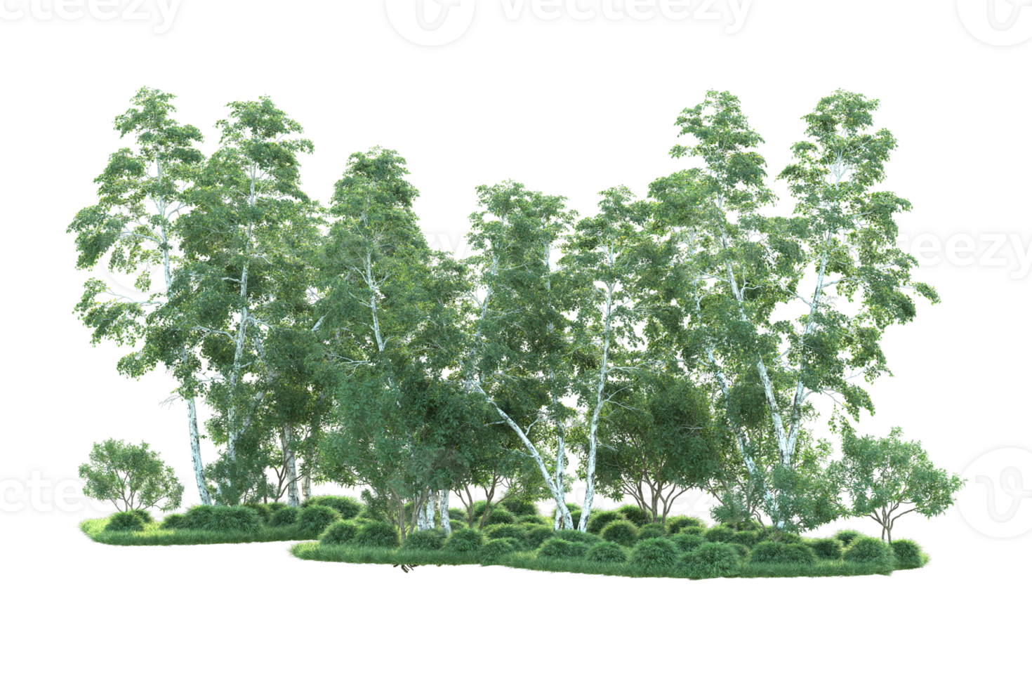 Tropical forest isolated on transparent background. 3d rendering - illustration png
