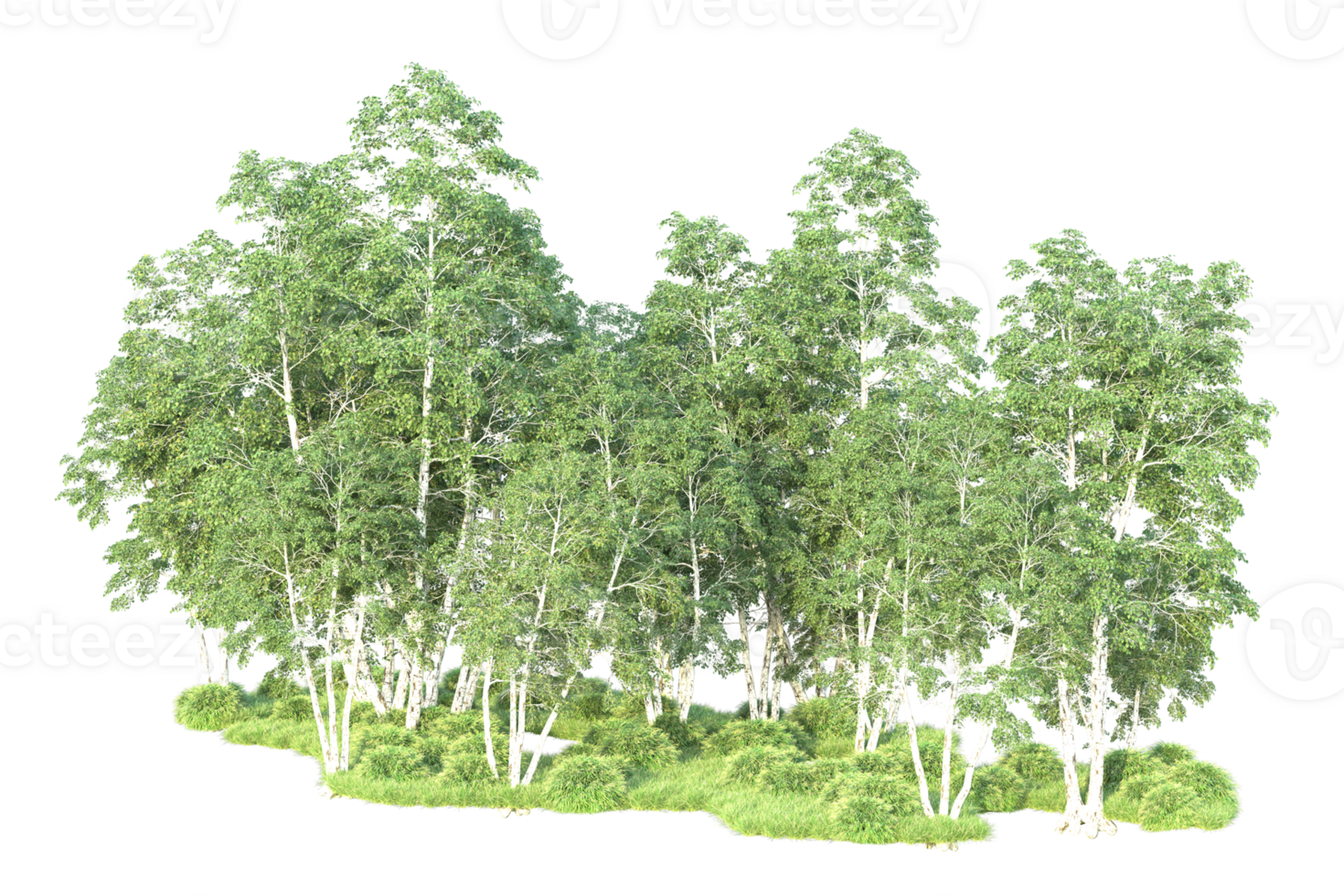 Tropical forest isolated on transparent background. 3d rendering - illustration png