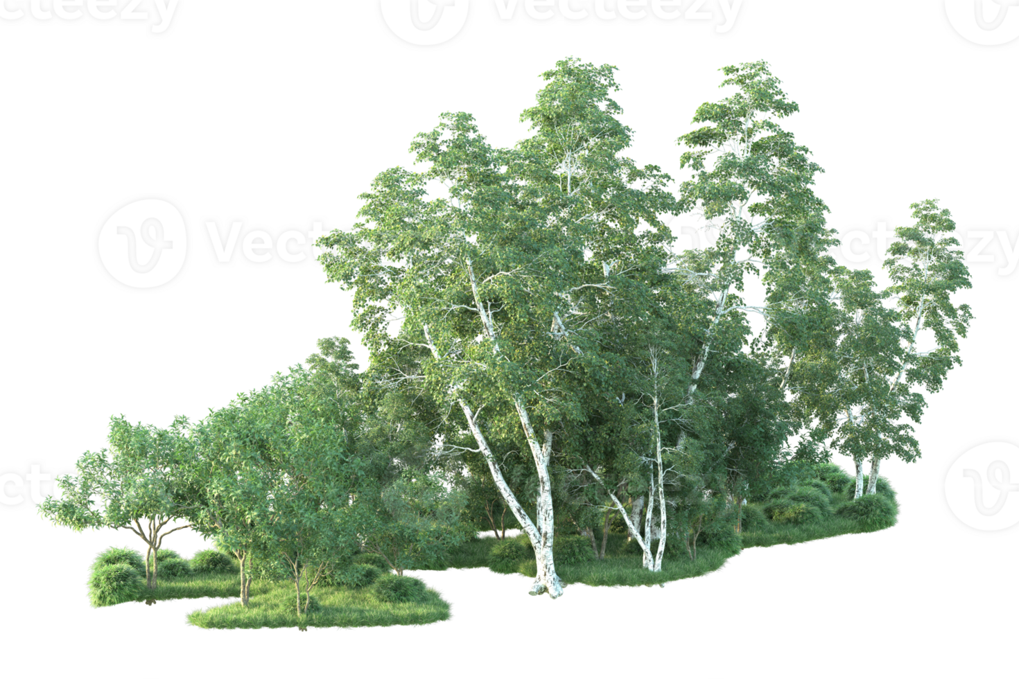Tropical forest isolated on transparent background. 3d rendering - illustration png