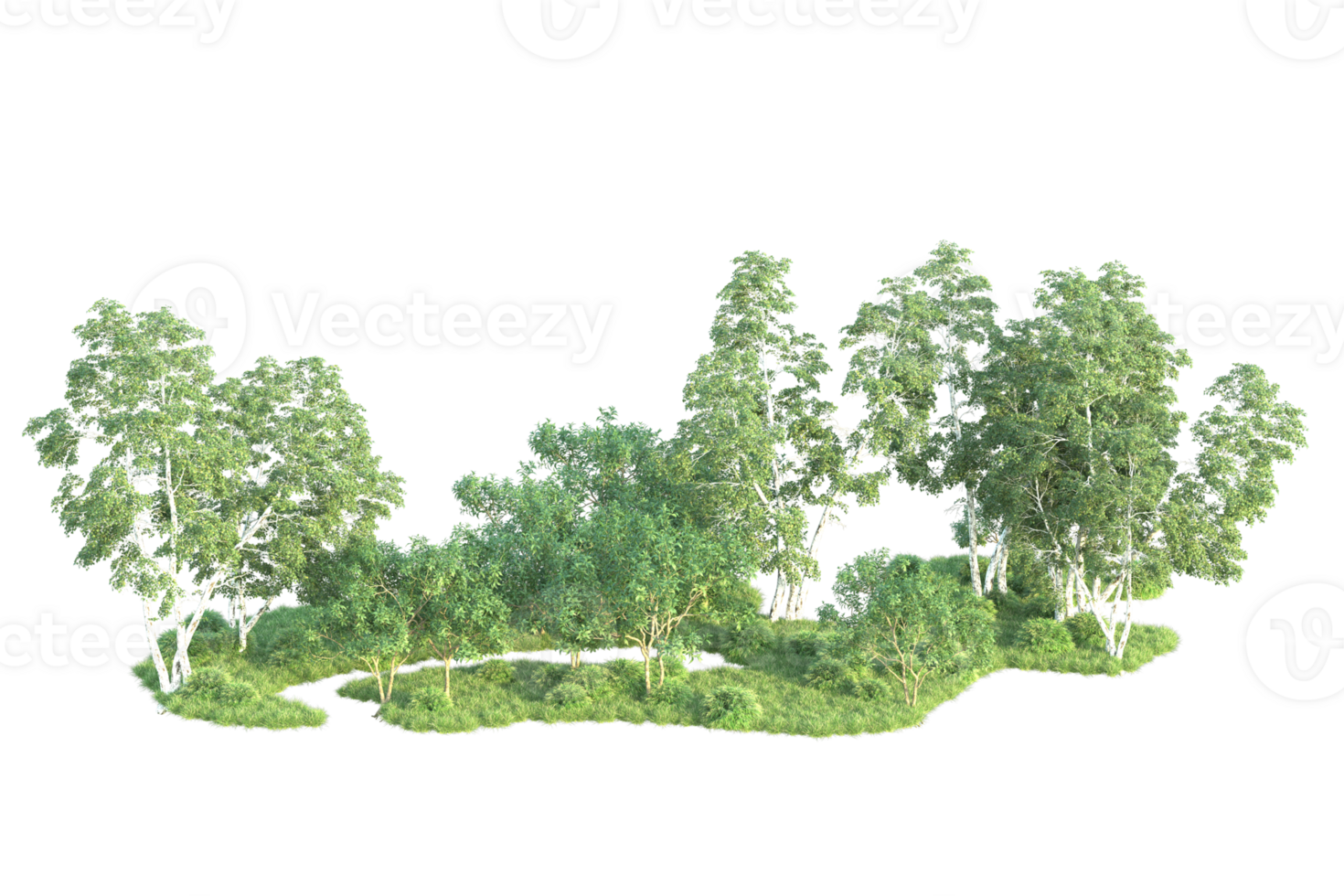 Tropical forest isolated on transparent background. 3d rendering - illustration png