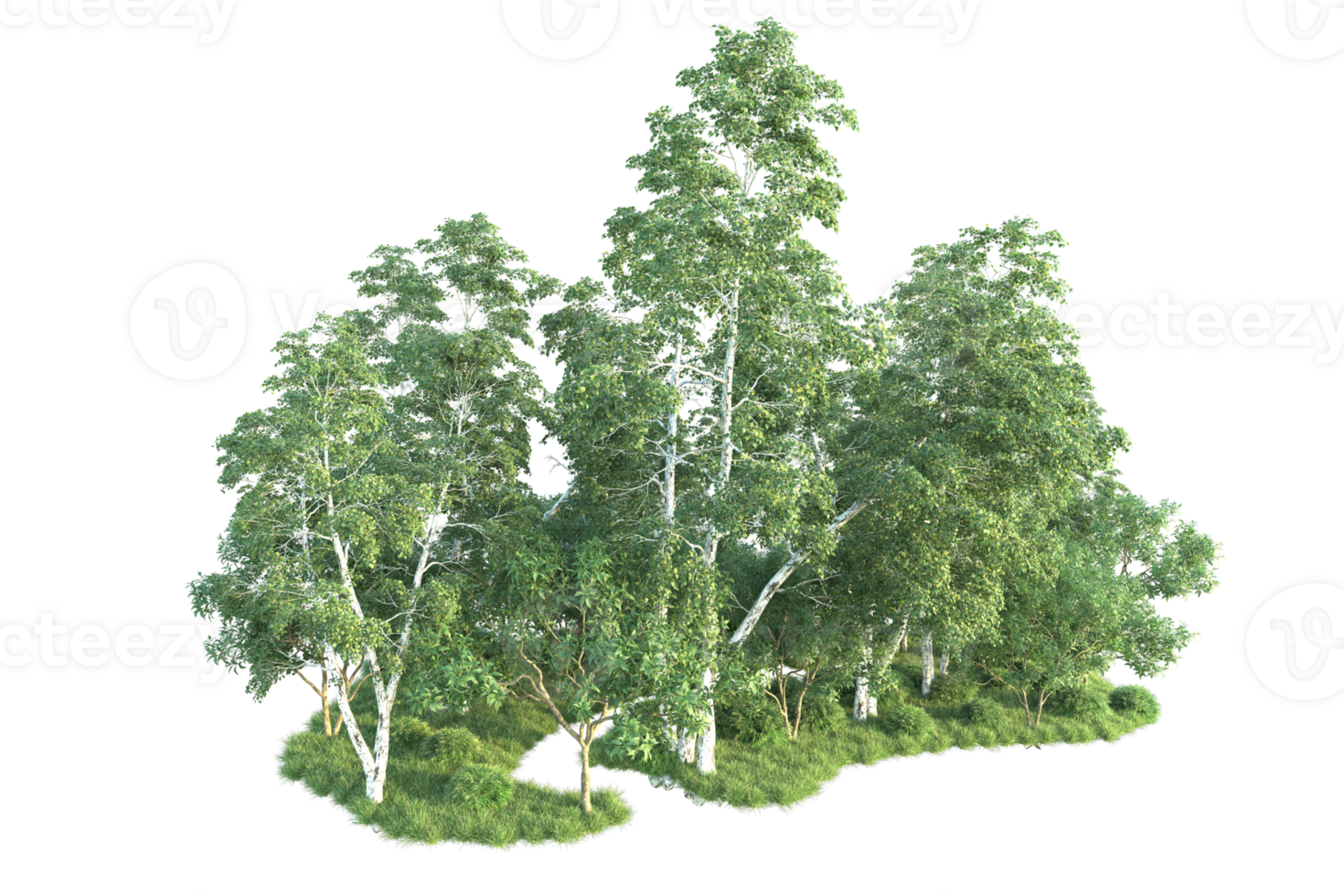 tropisch Wald isoliert auf transparent Hintergrund. 3d Rendern - - Illustration png