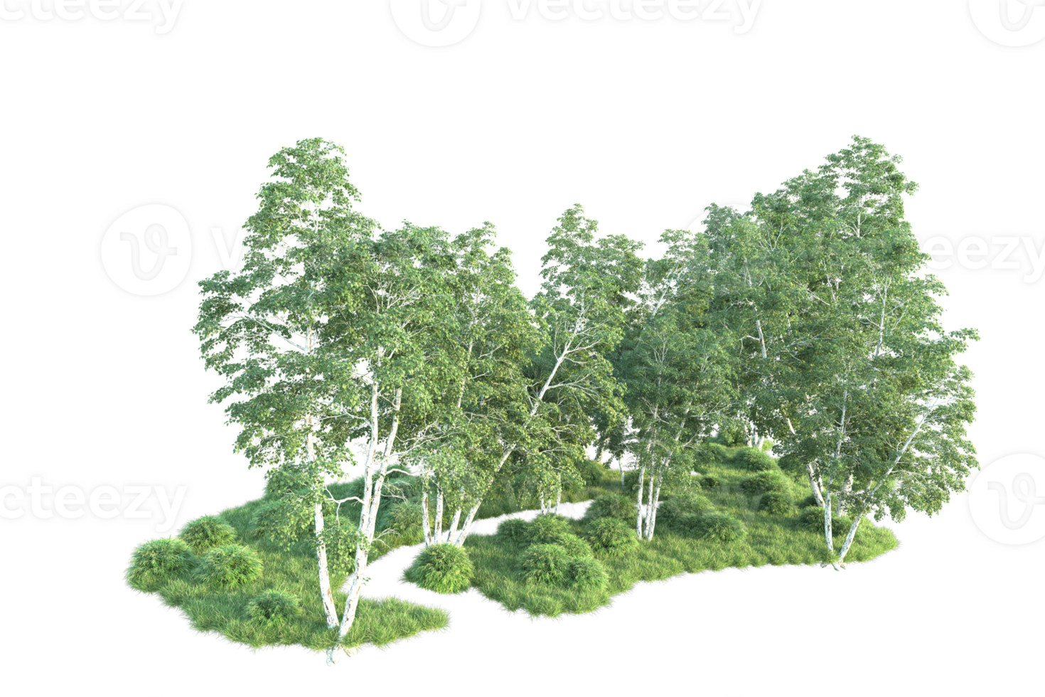 Tropical forest isolated on transparent background. 3d rendering - illustration png